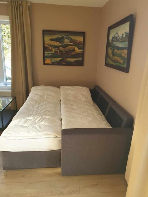 Greenhouse Golden Circle Villa ريكهولت المظهر الخارجي الصورة