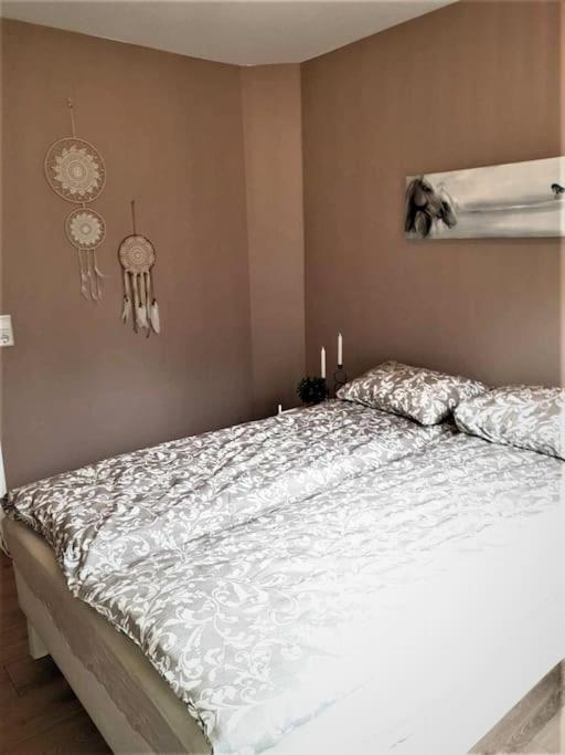 Greenhouse Golden Circle Villa ريكهولت المظهر الخارجي الصورة